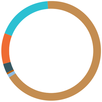 Race of Brain Injury Victims