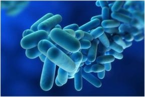 Our New Jersey personal injury attorneys report that Legionnaires disease is on the rise.