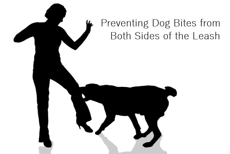 Our dog bite injury lawyers in New Jersey list tips to preventing dog bites from both sides of the leash.