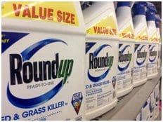 Roundup, the weed killer used all over the United States by both commercial farmers and individuals for home gardening, is at the center of a class-action lawsuit in which its producer, Monsanto, is being sued.