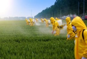 Our Roundup cancer lawyers represent clients who've developed cancer from using Roundup.
