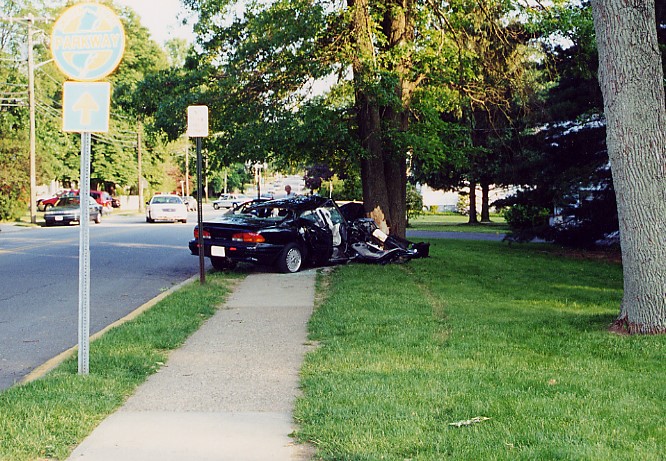 Motor Vehicle and Tree Collision