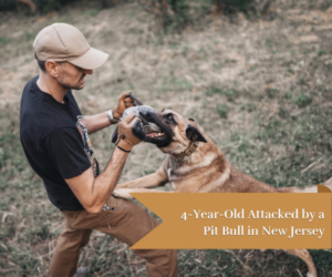 man being attacked by a dog