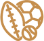 Different sports ball icon