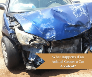 car accident with front of a car damaged
